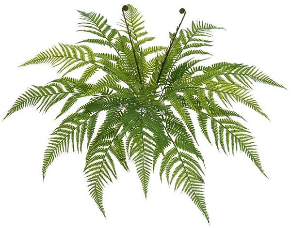 Planta Artificial Folhagem Samambaia C/Print X17 Verde 60cm