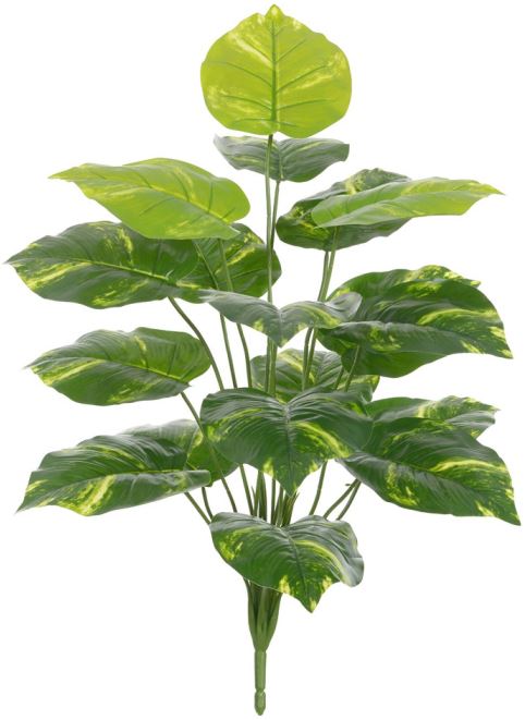 Planta Artificial Arvore Jiboia Real Toque X18 Verde Creme 75cm