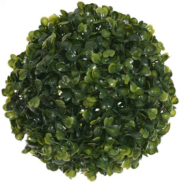 Folhagem Grama Buchinho Verde 18cm