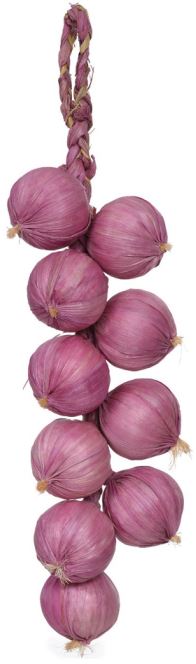 Cebola Corda X10 Roxa 40cm