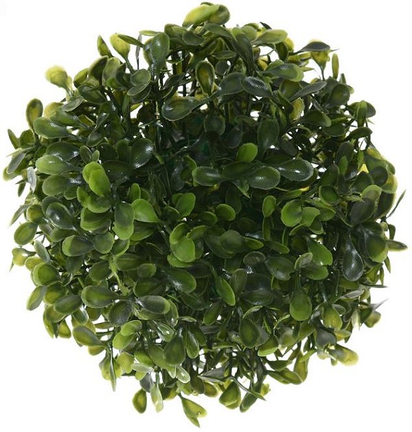 Folhagem Grama Buchinho Verde 13cm