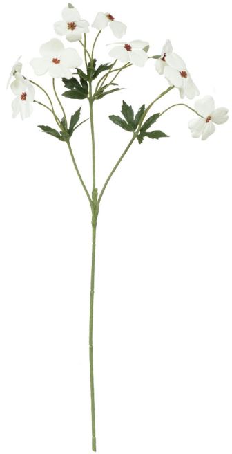 Haste Cosmo Real Toque X10 Creme 65cm