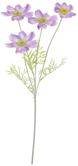 Haste Cosmos C/Flocked X4 Lavanda 60cm