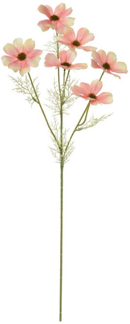 Haste Cosmos X6 Rosa 2T 61cm