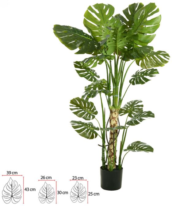 Planta Artificial Arvore Costela De Adao C/Pote X20 Verde 1,5cm