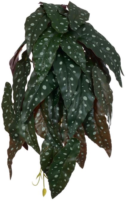 Planta Artificial Folhagem Begonia Maculata Pendurar X29 Verde 45cm