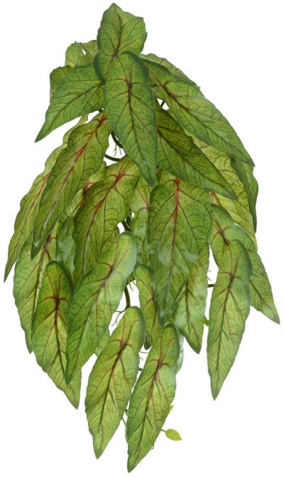 Planta Artificial Folhagem Begonia Maculata Pendurar X29 Verde 2T 45cm