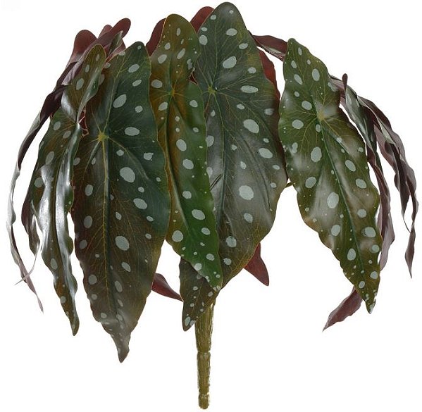 Planta Artificial Folhagem Begonia Maculata Forracao Real Toque Toque X14 Verde Purpura 26cm