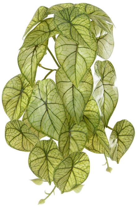 Planta Artificial Folhagem Caladium Pendurar X23 Verde Creme 28cm