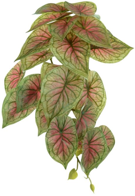 Planta Artificial Folhagem Caladium Pendurar X23 Creme Rosa 28cm