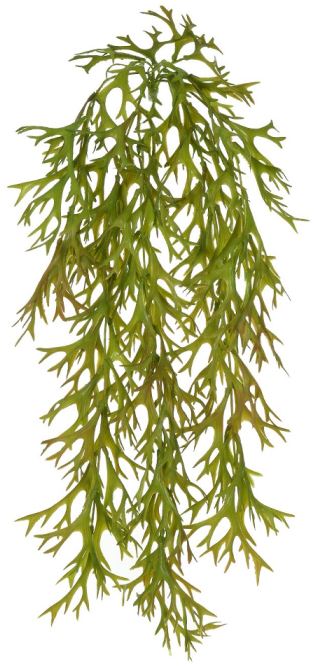 Planta Artificial Folhagem Chifre De Veado Pendurar X95 Verde Outono 81cm