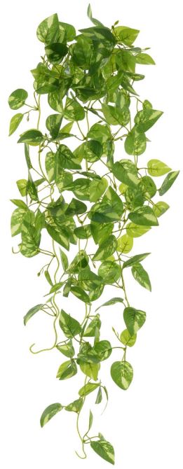 Planta Artificial Folhagem Jiboia Pendente Real Toque X162 Verde Creme 1,1m