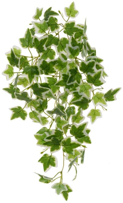Planta Artificial Folhagem Hera Pendente Real Toque X84 Verde Branco 60cm