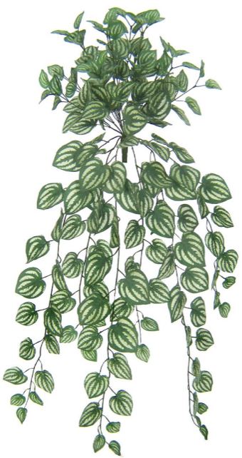 Planta Artificial Folhagem Melancia Pendente X180 Creme Verde 80cm