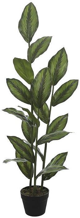 Planta Artificial Arvore Calathea Real Toque C/Pote X19 Verde 1.2m