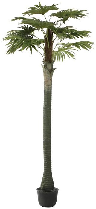 Planta Artificial Arvore Palmeira Leque C/Pote X15 Verde 3.2m