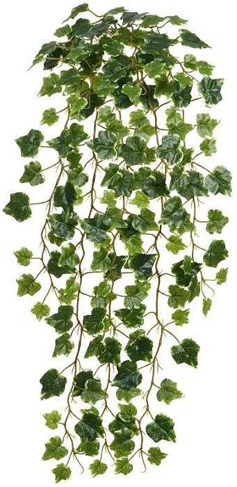 Planta Artificial Folhagem Hera Pendente X159 Verde Creme 1m