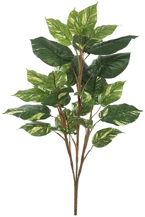 Planta Artificial Arvore Jiboia X23 Verde Creme 1m