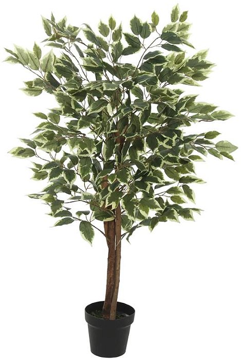 Planta Artificial Arvore Ficus C/Pote X420 Verde Creme 1,20m