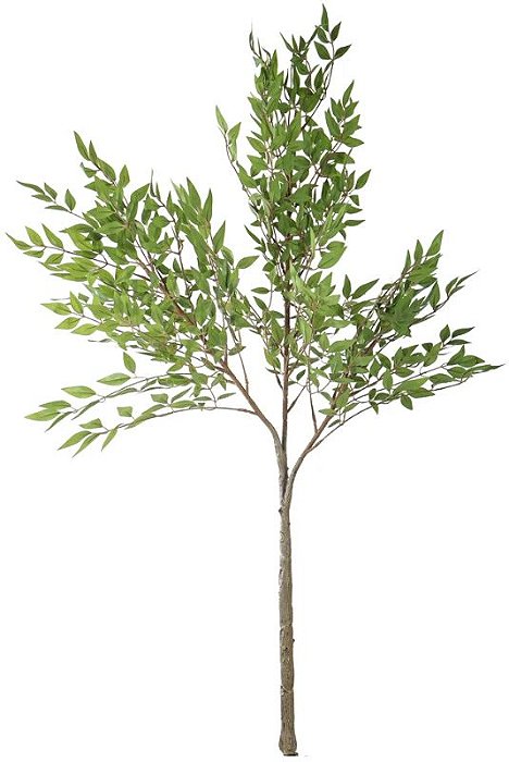 Planta Artificial Arvore Cajazeira Real Toque X728 Verde 1,3m
