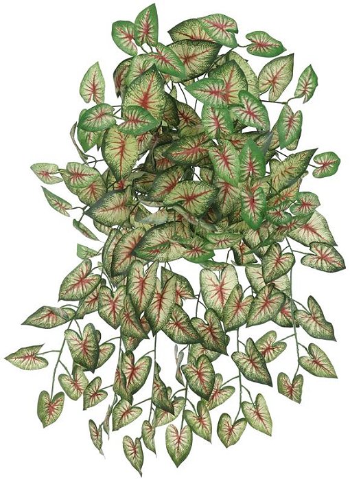Planta Artificial Folhagem Caladium Pendente X168 Verde Vermelho 64cm