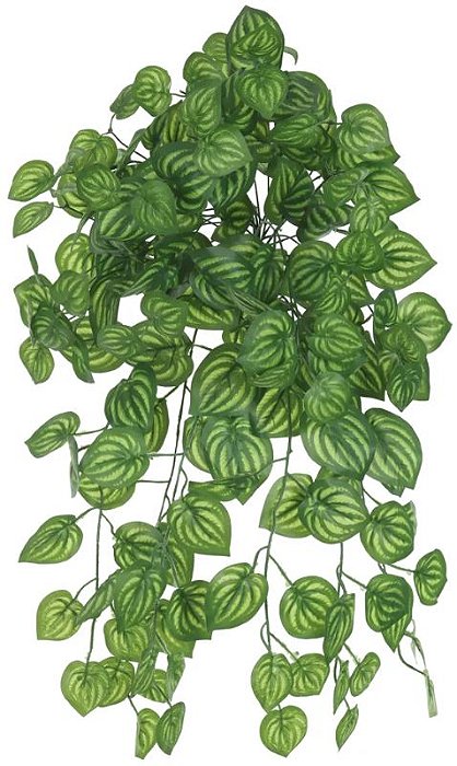 Planta Artificial Folhagem Melancia Pendente X168 Verde Creme 64cm
