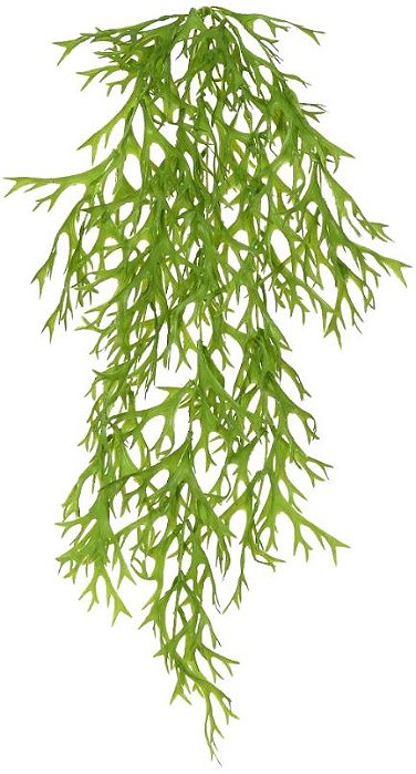 Planta Artificial Folhagem Chifre De Veado Pendente X95 Verde 81cm