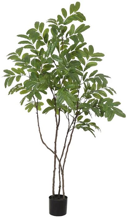 Planta Artificial Arvore Rambutan C/Pote Oliveira Real Toque X292 Verde 1.6m