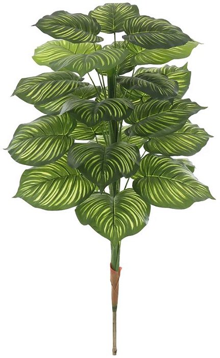 Planta Artificial Arvore Calathea Real Toque X24 Verde Creme 1.2m