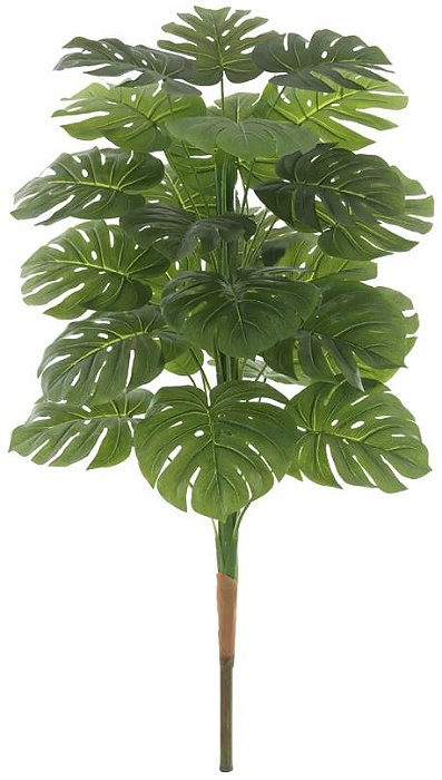 Planta Artificial Arvore Costela De Adao Real Toque X24 Verde 1.2m