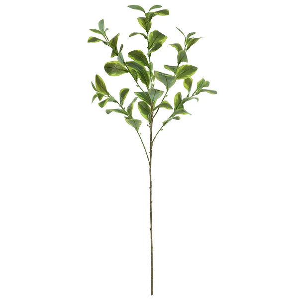 Planta Artificial Galho Clusia Real Toque X53 (verde creme) 90cm