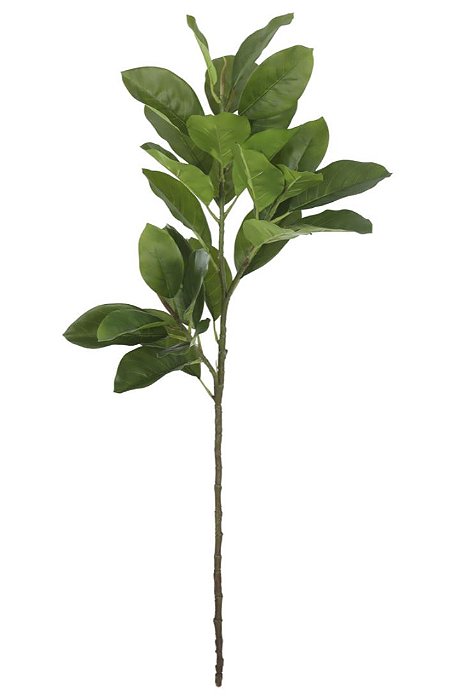 Planta Artificial Galho Magnolia Real Toque X29 (verde) 1,05m