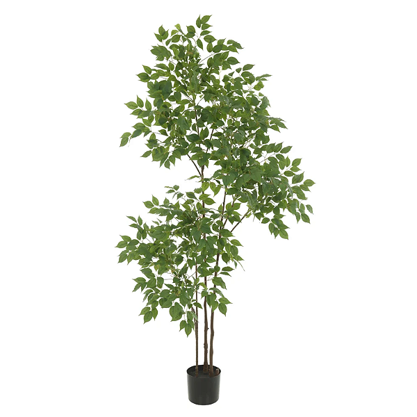 Planta Artificial Ficus Real Toque C/Pote X1389 (verde) 1,8m