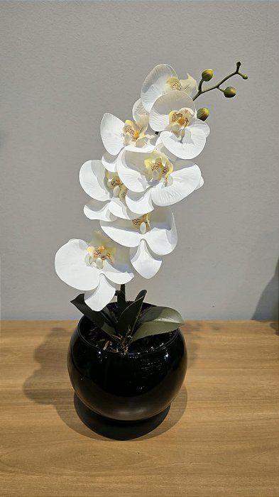 Arranjo 1 Orquidea Vaso de Vidro Preto