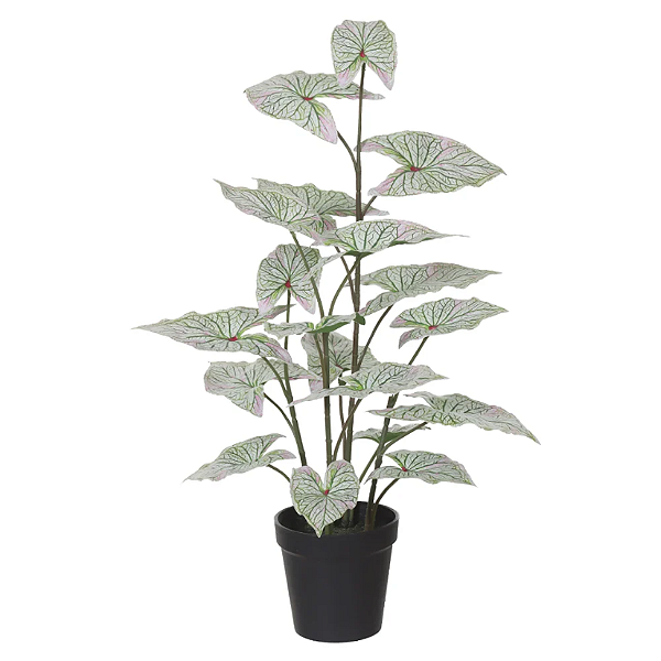 Planta Artificial Arvore Caladium C/Pote Real Toque X19 (branco verde) 53cm