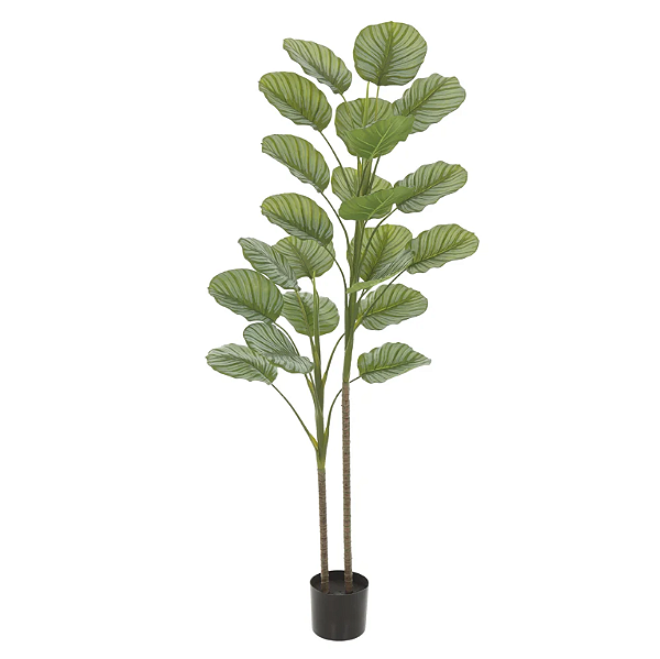 Planta Artificial Arvore Calathea Real Toque C/Pote X22 (verde) 1,5m