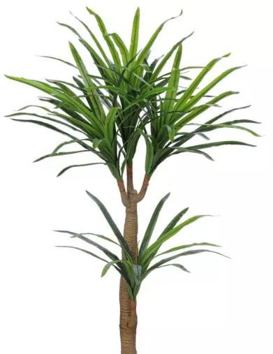 Planta Árvore Artificial Yucca Real Toque Verde 1,2m