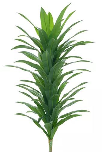 Planta Árvore Artificial Dracena Real Toque Verde 1,5m