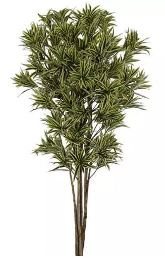 Planta Árvore Artificial Dracena Reflexa Amarelo Verde 1,7m