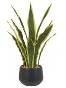 Planta Artificial Árvore Espada-de-São-Jorge Artificial com Pote 53cm