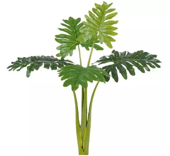 Planta Árvore Artificial Philodendron Xanadu Real Toque Verde 1,17m