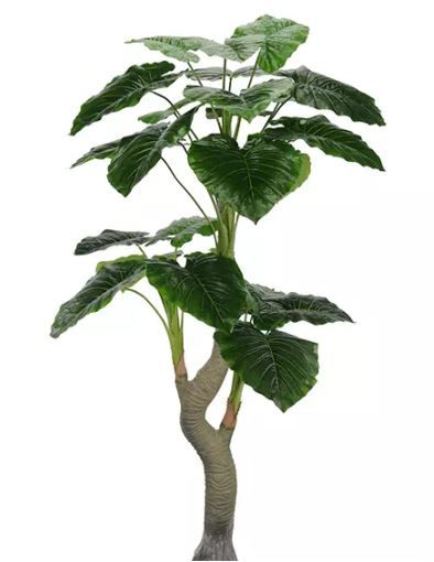 Planta Folhagem Artificial Folha Philo Real Toque Verde 1,64m