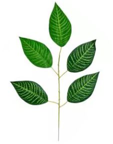 Folhagem Artificial Zebrada Verde em 2 Tons 54cm