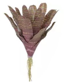 Folhagem Artificial Bromélia Marrom Verde 26cm