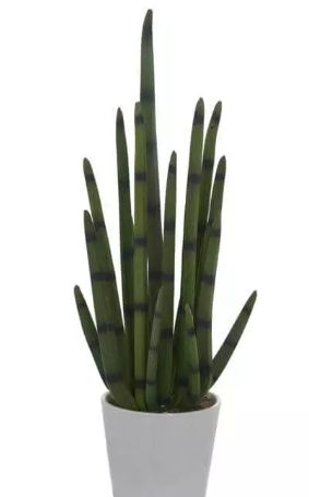 Arranjo Folhagem Artificial Rabo de Tatu Verde 73cm