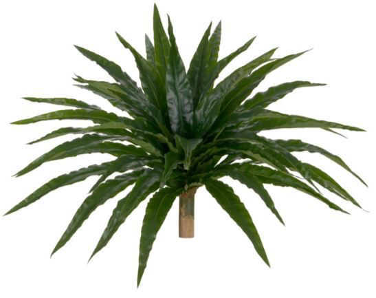 Folhagem Asplênio Real Toque X44 (VERDE) 45cm