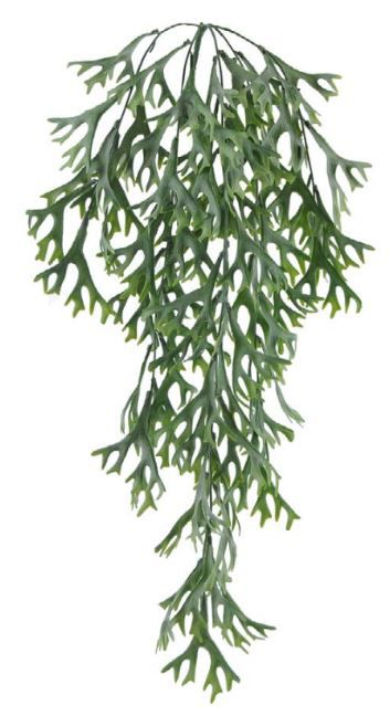 Folhagem Chifre De Veado Pendurar C/ Powder PLT X57 (VERDE) 77 cm