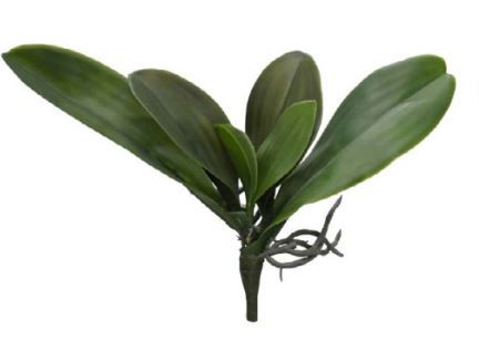 Folhagem Folha Orquídea Real Toque C/Raiz X5 (VERDE) 36cm