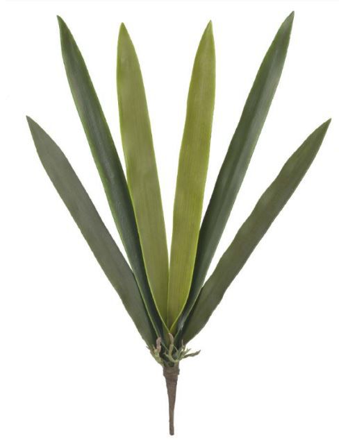 Folhagem Folha Orquídea Cymbium X6 (VERDE) 48 cm