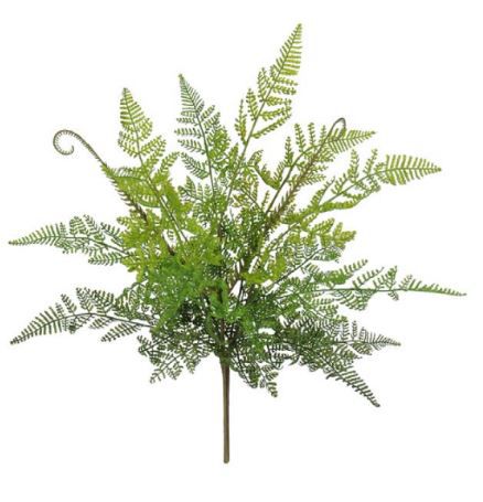 F.SAMAMBAIA PLT. X15 (VERDE) 40,5 cm